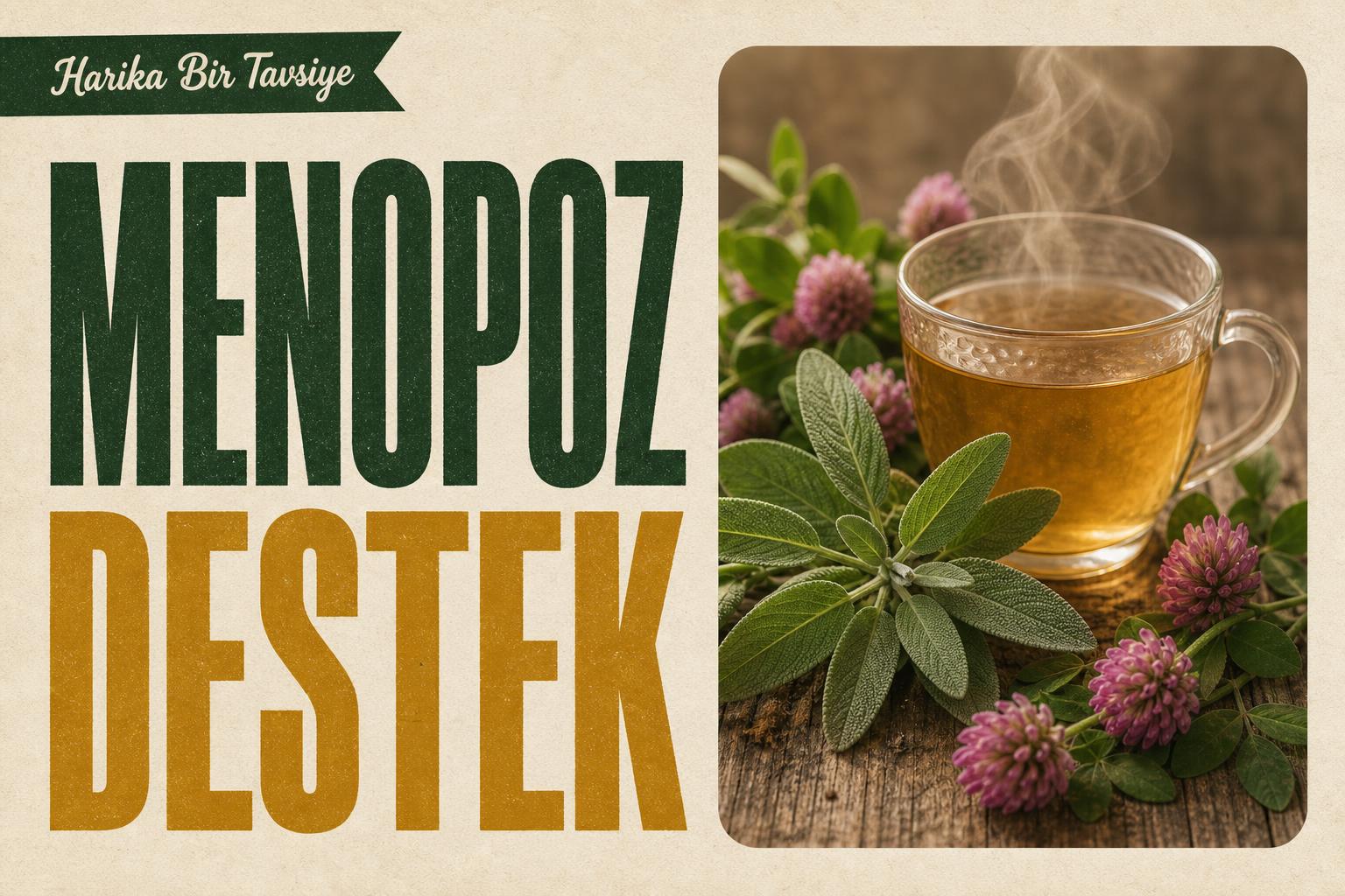 Menopoz Belirtileri ve Bitkisel Yaklaşımlar — Karabaş otu (lavanta) ve papatya çiçekleri ile menopoz dönemi temalı…